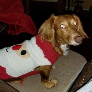 Meet your Posher, Jackie